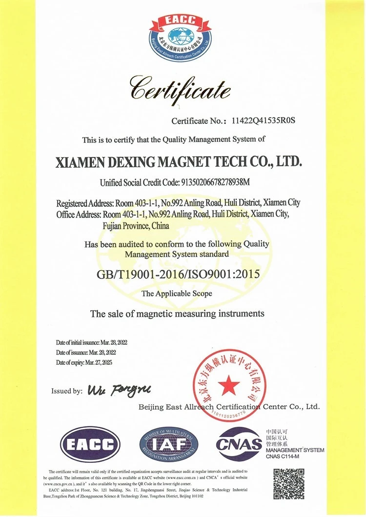 DEXING MAG ISO9001: 2015